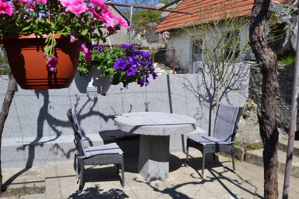 Una Apartment Cetinje Extérieur photo
